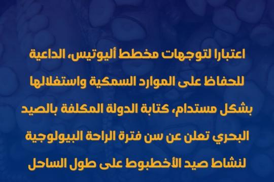 المغرب يقر توقيفاً مؤقتاً لصيد الأخطبوط لحماية المخزون البحري