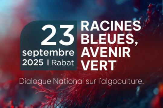 Dialogue national sur la valorisation des algues : vers une filière durable et intégrée au Maroc