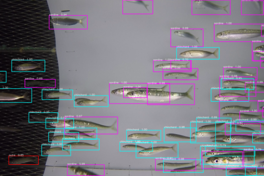 Quelles innovations pour une pêche durable ?