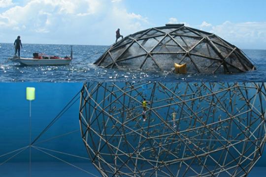 Construction de la première Ferme Marine expérimentale de poisson en mer, avec cages submersibles