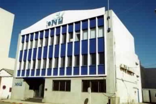 Pêche : 6,14 MMDH de produits commercialisés à fin juillet 2025 (ONP)