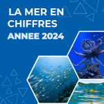 Nouvelle édition-La Mer en Chiffres 2024 : le secteur halieutique marocain en plein essor