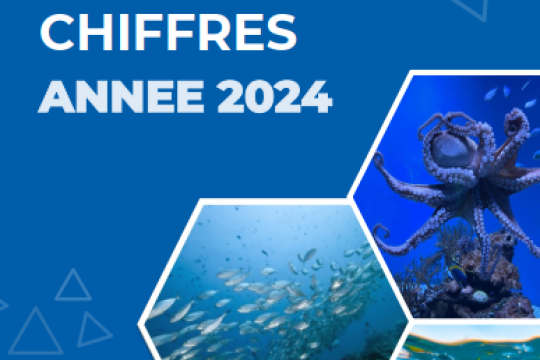 Nouvelle édition-La Mer en Chiffres 2024 : le secteur halieutique marocain en plein essor