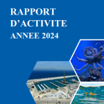Rapport d'activité 2024 : Bilan annuel et perspectives pour une pêche durable et modernisée