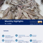 Rapport : État des Lieux et Dynamiques du Marché Européen – Focus Janvier 2026