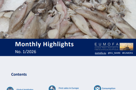 Rapport : État des Lieux et Dynamiques du Marché Européen – Focus Janvier 2026