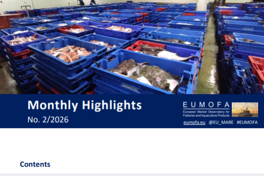 Rapport : État des lieux et tendances du Marché Européen des PDM – Focus Février 2026