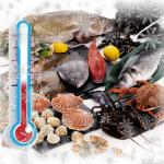 Arrêté n°440-01 : Cadre réglementaire fixant la durée de conservation des produits alimentaires, y compris les produits de la mer