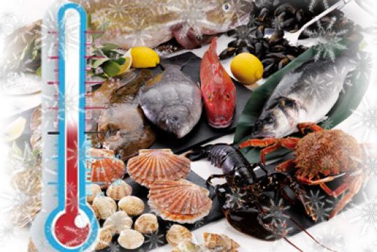 Arrêté n°440-01 : Cadre réglementaire fixant la durée de conservation des produits alimentaires, y compris les produits de la mer