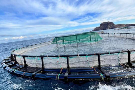 Filière aquacole : 27 projets sont en cours d’installation dans la région de l'Oriental