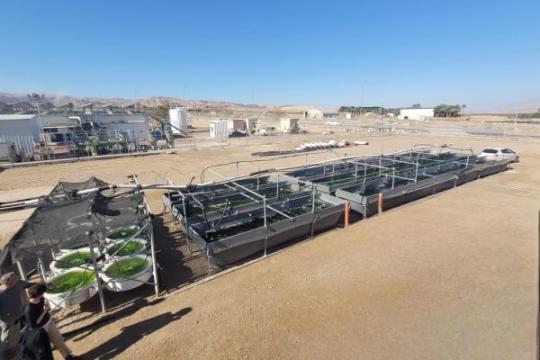 Prix de l'Innovation pour une solution innovante de dessalement de l'eau de mer à l'aide des algues