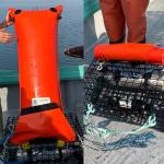 Des pêcheurs testent des engins sans cordages, moins risqués pour les baleines