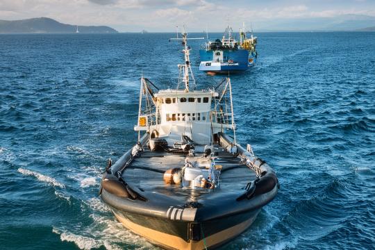 Une norme internationale pour la certification des produits de la pêche maritime durable