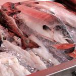 Les méthodes améliorées de manutention du poisson.