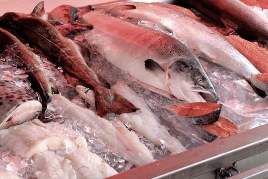 Les méthodes améliorées de manutention du poisson.