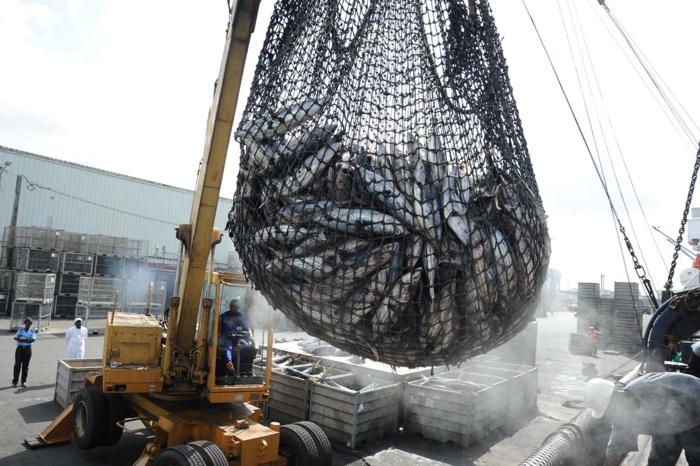 Projet de loi n°95.21 : Nouveau bouclier gouvernemental contre la pêche illicite ! [INTÉGRAL]