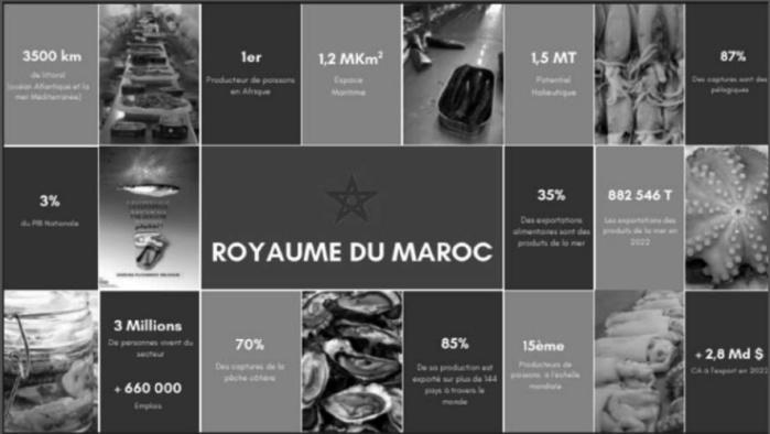 Projet de loi n°95.21 : Nouveau bouclier gouvernemental contre la pêche illicite ! [INTÉGRAL]