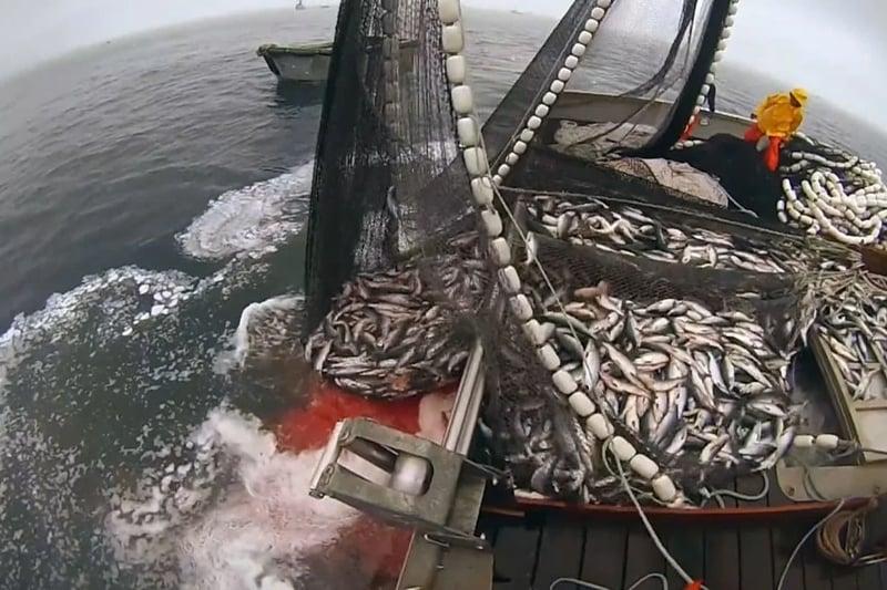 La Russie mise sur le renouvellement de son accord de pêche avec le Maroc