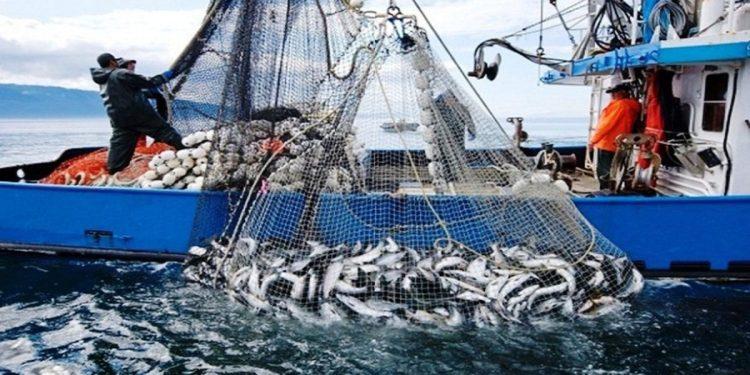 Pêche