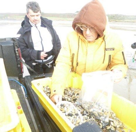 Pêcheurs de tellines évaluant leur stock