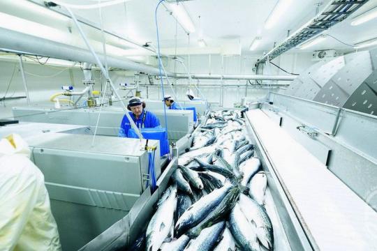 CAC/RCP 1-1969, Rév. 4-2003 : Code d'usages international recommandé -principes généraux d'hygiène alimentaire(Codex Alimentarius)