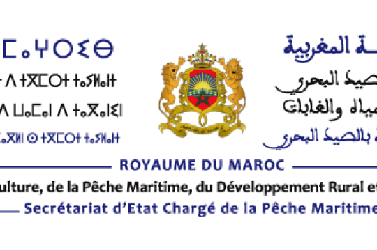Laâyoune : le secrétariat d'Etat dément toute atteinte aux ressources halieutiques