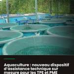 Aquaculture : nouveau dispositif d’assistance technique sur mesure pour les TPE et PME