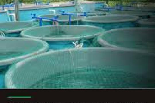 Aquaculture : nouveau dispositif d’assistance technique sur mesure pour les TPE et PME