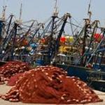 Pêche côtière : les volumes plongent de 18% à fin février, mais la valeur dépasse les 2 MMDH