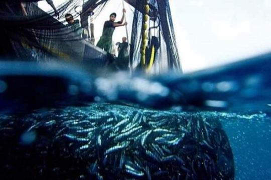 Une innovation marocaine primée dans le domaine halieutique