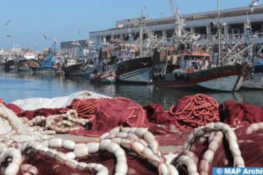 Pêche côtière et artisanale : baisse de la valeur des produits commercialisés de 4% à fin juin (ONP)