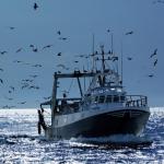 Gestion des pêcheries 2026 : Nouveau zoning désormais en vigueur pour les chalutiers et les palangriers