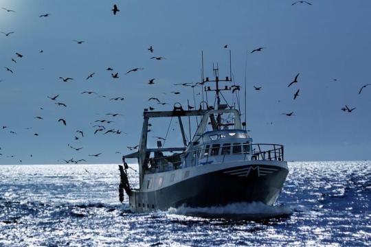 Gestion des pêcheries 2026 : Nouveau zoning désormais en vigueur pour les chalutiers et les palangriers
