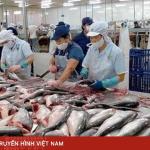 L'UE renforce les contrôles sur les produits de la mer importés: Un nouveau système numérique de certification des captures entre en vigueur