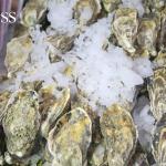 Levée de l’interdiction sur le ramassage et la commercialisation des produits conchylicoles à Sidi Boulfdail