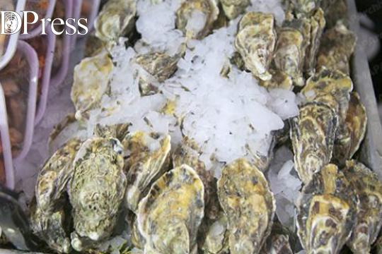 Levée de l’interdiction sur le ramassage et la commercialisation des produits conchylicoles à Sidi Boulfdail