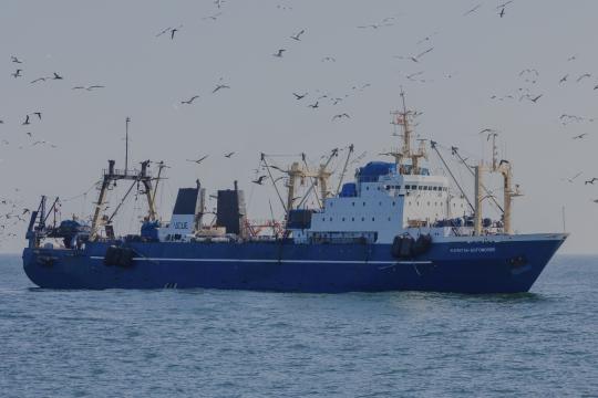Moscou valide un accord avec le Maroc pour l’exploitation de 90 000 tonnes de poissons dans la ZEE incluant le Sahara