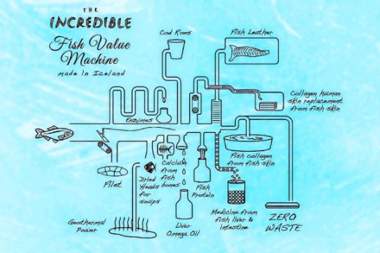 Réduction et valorisation des déchets de poissons en protéines, Oméga-3 et micronutriments