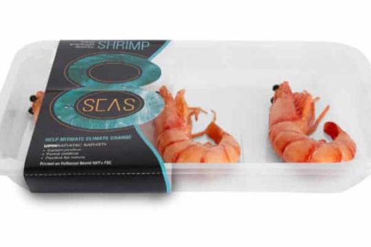 Conditionnement : Des solutions d’emballage durables pour poissons et fruits de mer