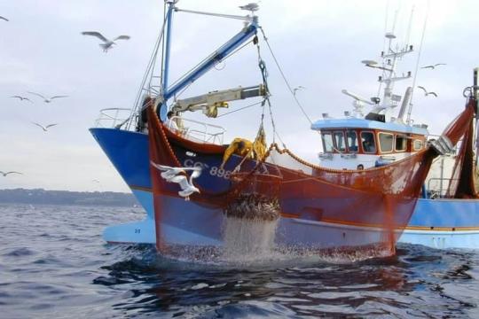 Pêche : Vers le renforcement de la coopération Maroc-Russie en 2025