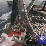 La Russie mise sur le renouvellement de son accord de pêche avec le Maroc