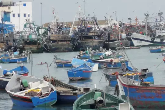 Controverse autour d’un projet de loi permettant aux étrangers de travailler dans le secteur de la pêche maritime