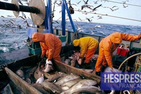 ONP : plus de 3,11 MMDH de produits de la pêche commercialisés à fin mars