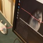 Poisson et puces électroniques : comment l’IA peut aider les pêcheurs européens et protéger les mers