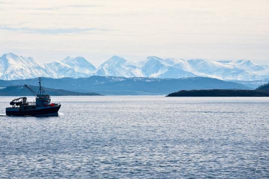 Obtenez la certification MSC Pêcheries