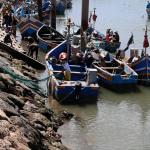 Pêche maritime : lancement d'un numéro vert pour signaler les actes portant atteinte à l’intégrité