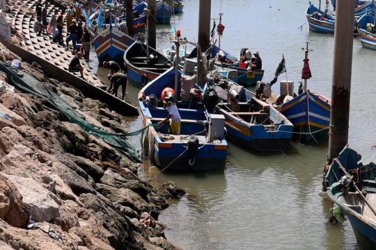 Pêche maritime : lancement d'un numéro vert pour signaler les actes portant atteinte à l’intégrité
