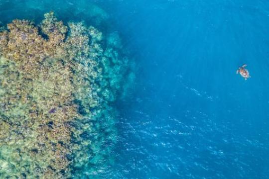 DÉCOUVREZ L'AVENIR DE L'AFRIQUE : LA SEMAINE DE L'ÉCONOMIE BLEUE AFRICAINE 2024 S'ANNONCE RICHE EN IMPACT