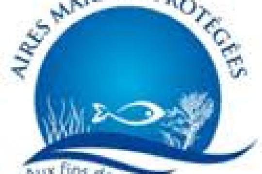 Surveillance environnementale et numérique : Vers une pêche durable et une économie bleue