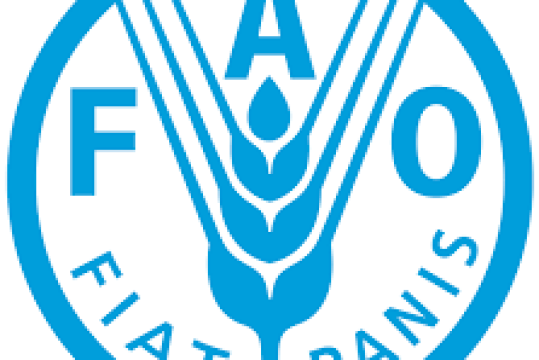 La FAO et l'INCAR lancent un guide pour l'adaptation de l'aquaculture au changement climatique